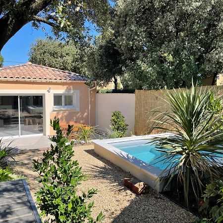 Magnifique Villa Avec Piscine En Provence Bédarrides Exterior photo